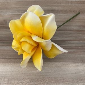 ❤️ Gorgeous flower hair adornment from Hawaii